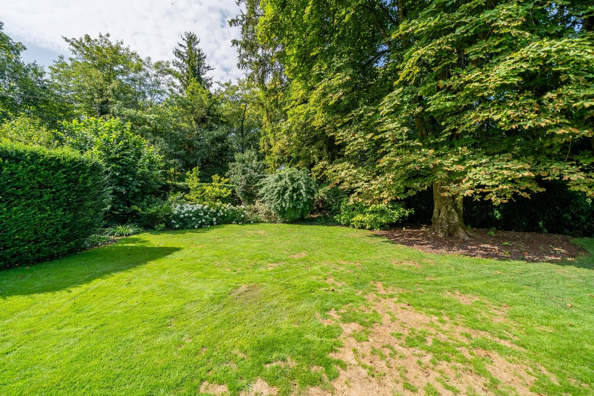 Weitläufige Gartenfläche