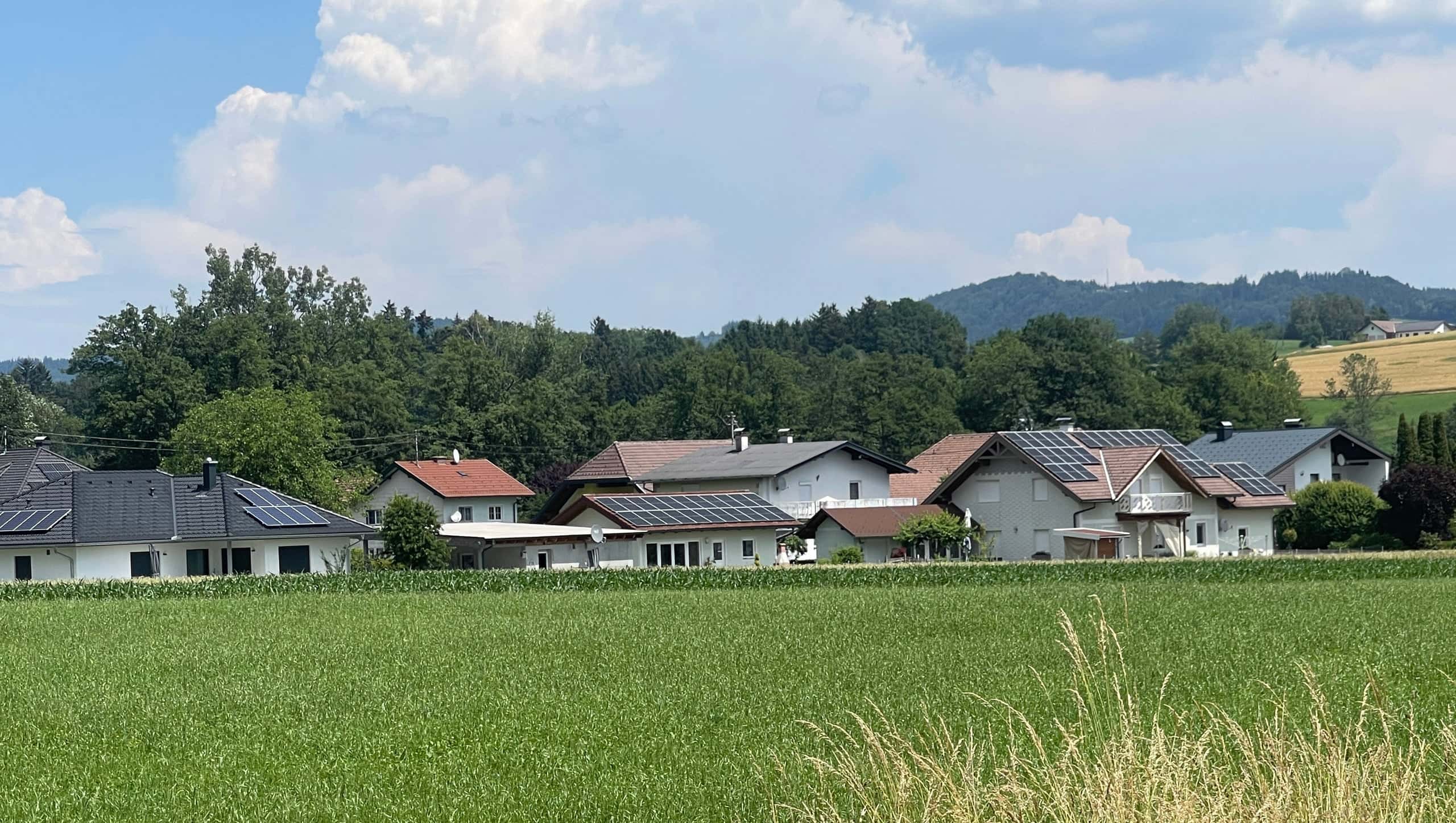 Ansicht Süd.